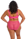 Elomi Charley High Leg Brief - Pink - Pre-order ONLY March