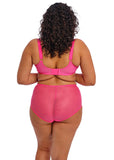 Elomi Charley Stretch Plunge Bra -  Pink - Pre-order ONLY March