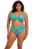 Elomi Swim Toyama Tides Plunge Bikini Top - Pre-order ONLY March