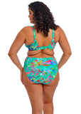 Elomi Swim Toyama Tides Mid Rise Bikini Brief - Pre-order ONLY March