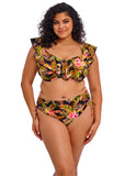 Elomi Swim Tiger Valley Frill Bikini Top - Black - Pre-Order ONLY January