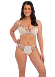 Fantasie Marie Classic Brief & Thong - Delicacy - Pre-Order ONLY January