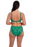 Fantasie Punta Mita Mid Rise Bikini Brief - Pre-Order ONLY March