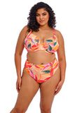 Elomi Swim Sancho Beach Plunge Bikini Top - Pre-Order ONLY February